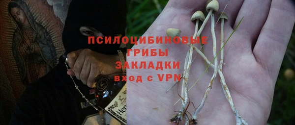 мяу мяу мука Кодинск