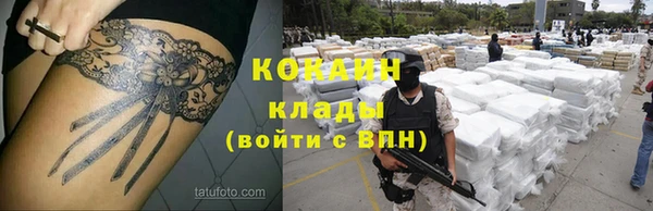 ALPHA PVP Фёдоровский