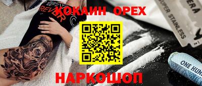 гидропоника Камышлов