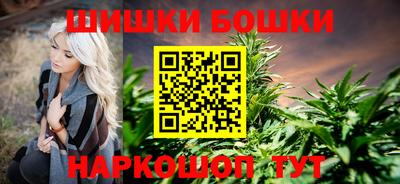 гидропоника Камышлов