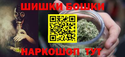 гидропоника Камышлов