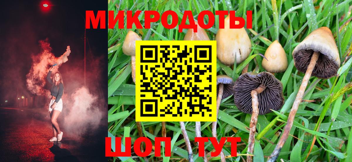 Назрань  Псилоцибиновые грибы Magic Shrooms  Вход с VPN  Псилоцибиновые грибы Cubensis 