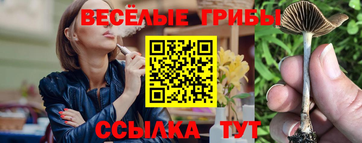 Галлюциногенные грибы Cubensis Назрань