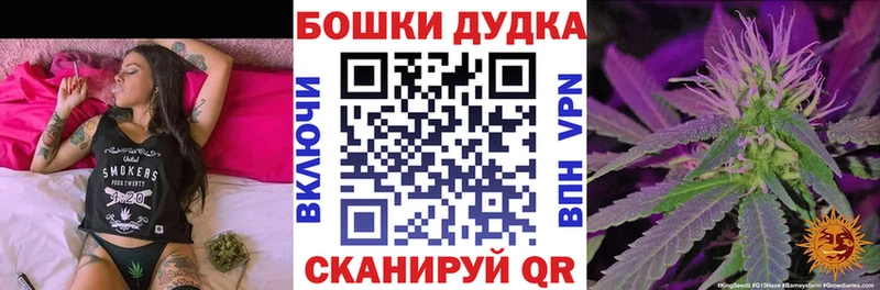 как найти   Назрань  blacksprut ссылка  Шишки марихуана ГИДРОПОН 